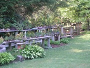 Bonsai Benches